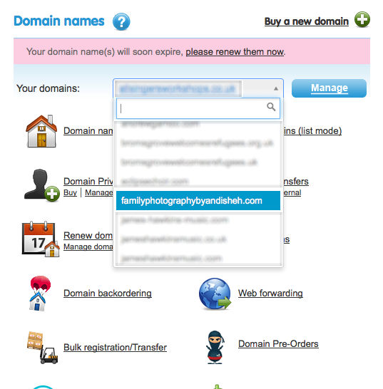 Select Domain To Manage on 123 reg